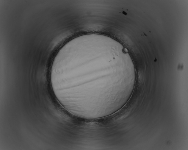 X0000091530396200708311315