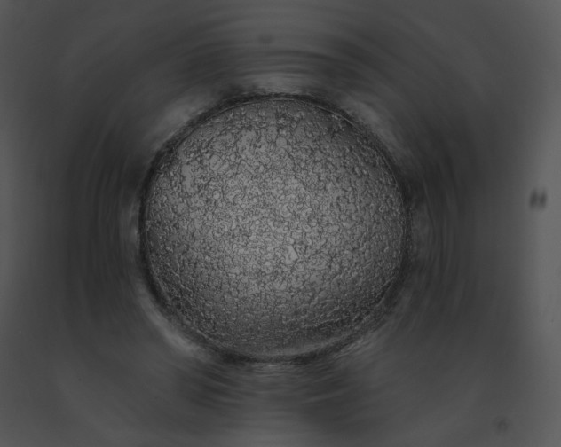 X0000091530398200708311315