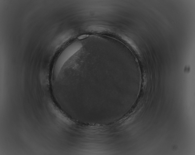 X0000091530399200708311315