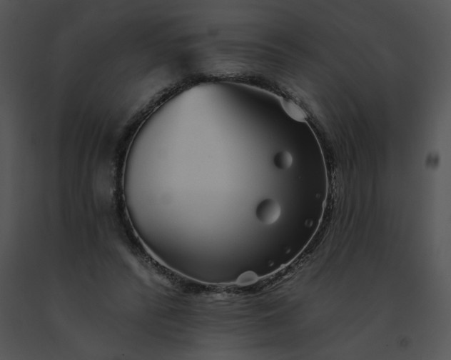 X0000091530400200708311315