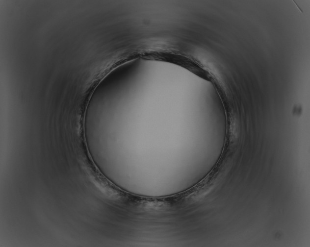 X0000091530401200708311315