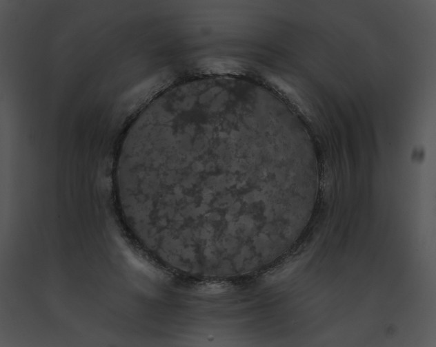 X0000091530402200708311315