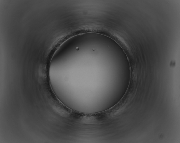 X0000091530403200708311315