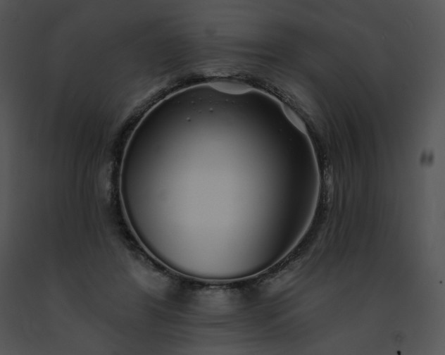 X0000091530404200708311315