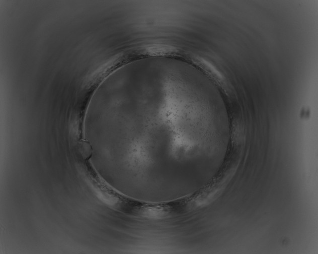 X0000091530405200708311315