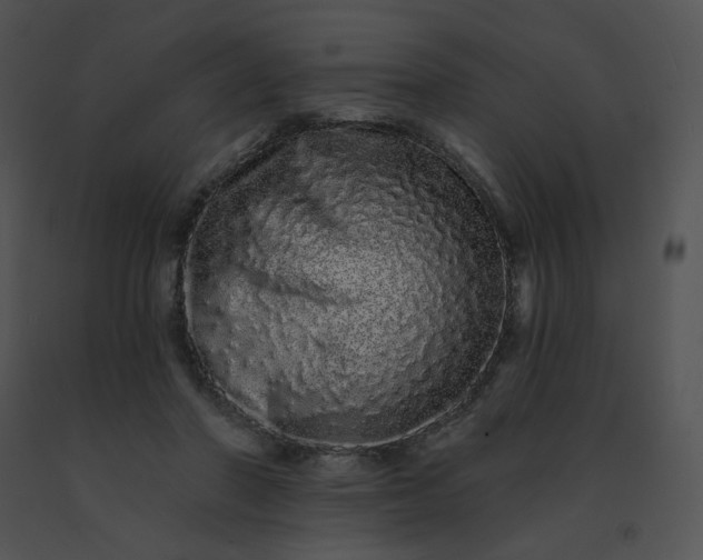 X0000091530406200708311315