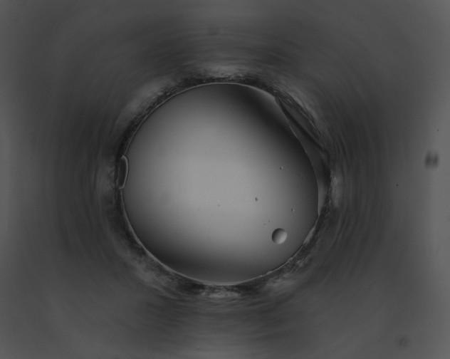X0000091530407200708311315