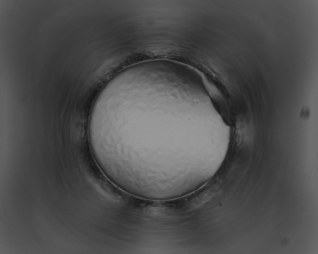 X0000091530408200708311315
