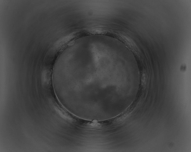 X0000091530409200708311315