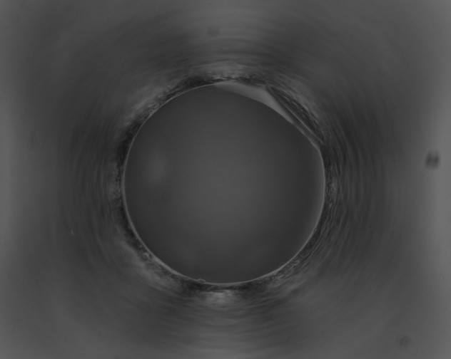 X0000091530411200708311315