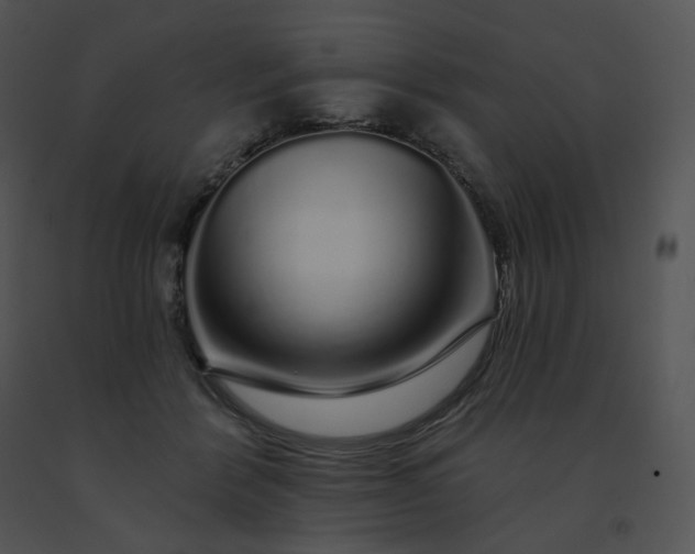 X0000091530412200708311315