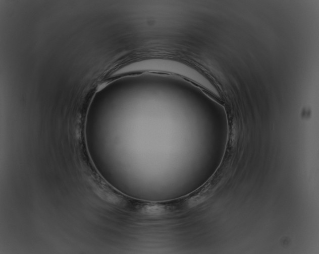 X0000091530413200708311315