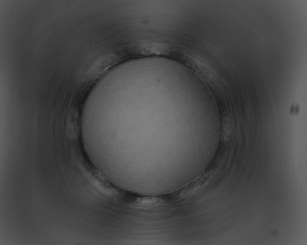 X0000091530414200708311315