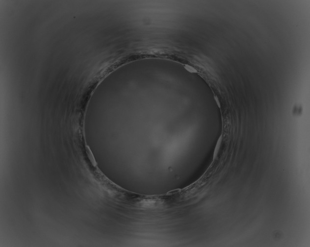 X0000091530415200708311315