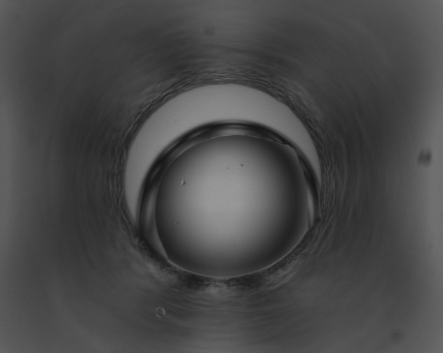 X0000091530416200708311315