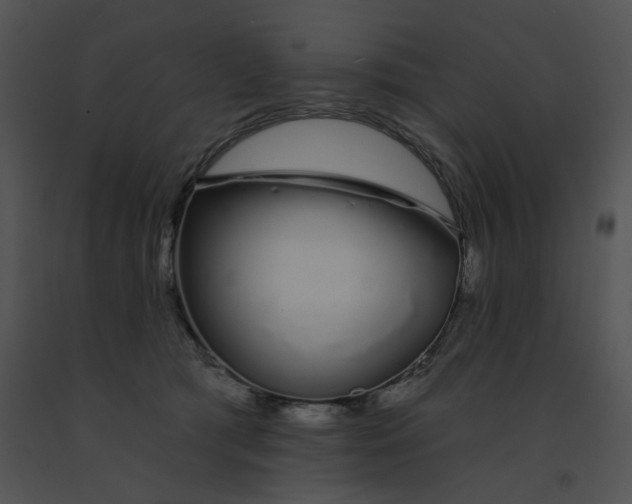 X0000091530417200708311315