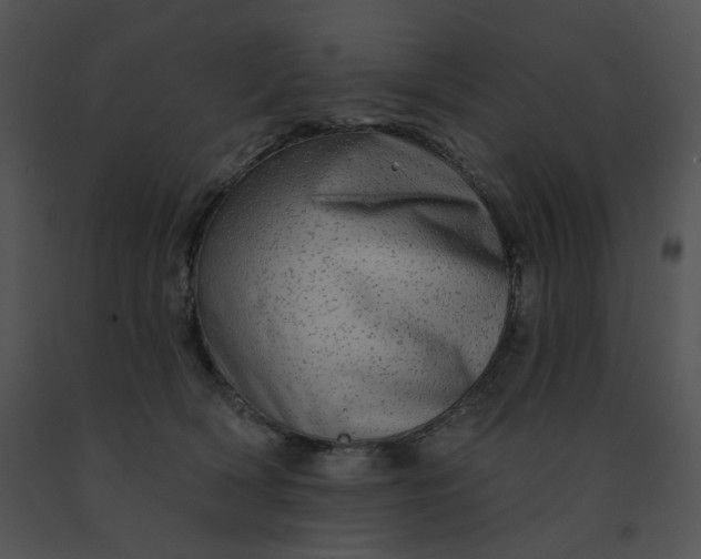X0000091530418200708311315