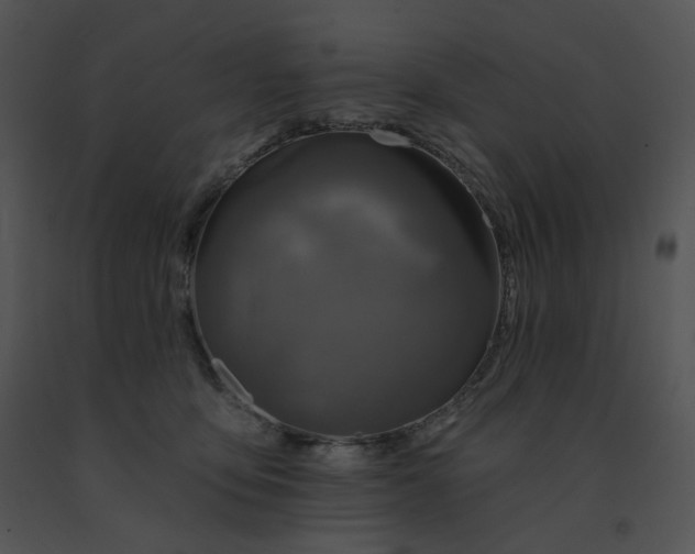 X0000091530419200708311315