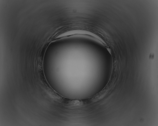 X0000091530421200708311315