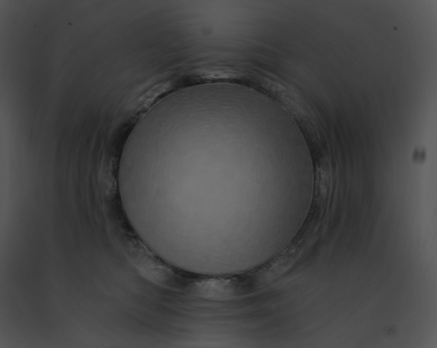 X0000091530422200708311315