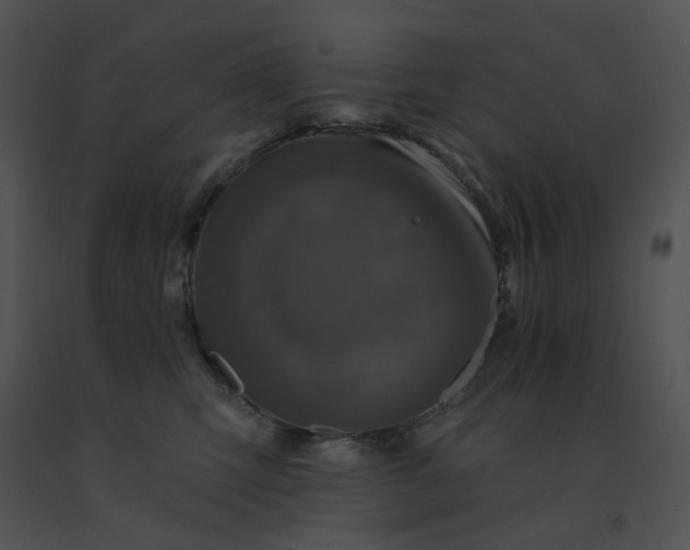 X0000091530423200708311315
