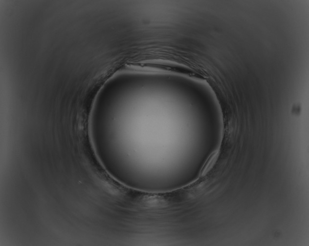 X0000091530424200708311315
