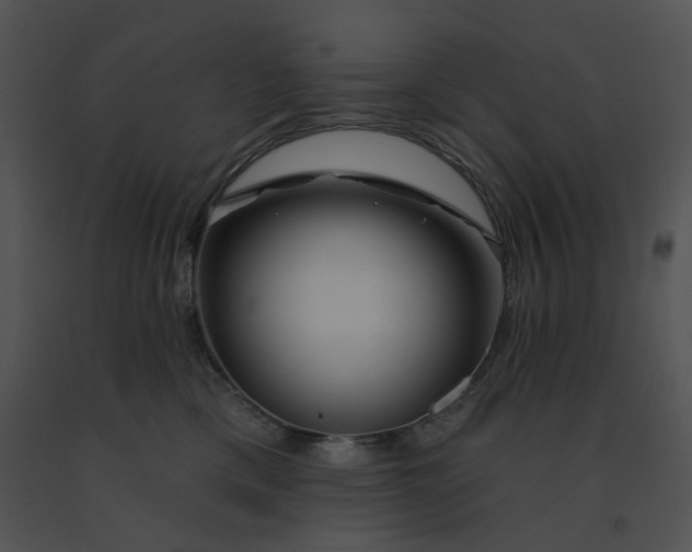 X0000091530425200708311315