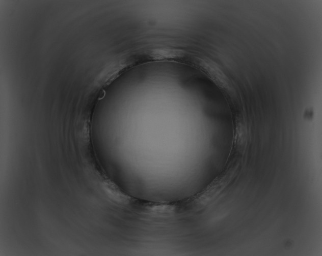 X0000091530426200708311315