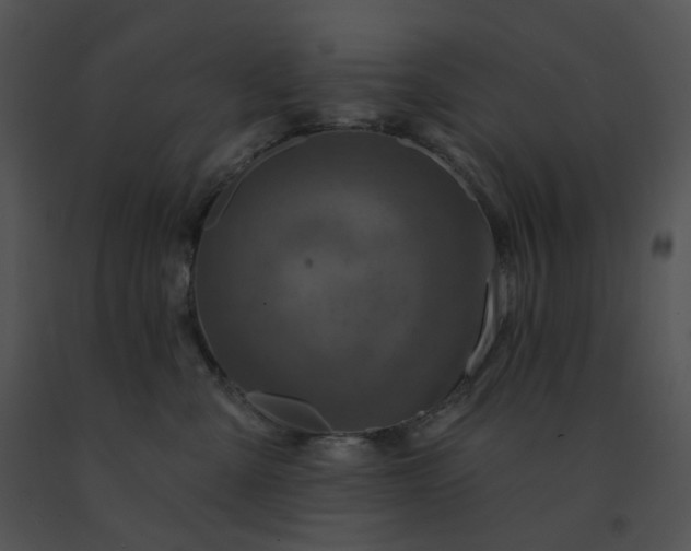 X0000091530427200708311315