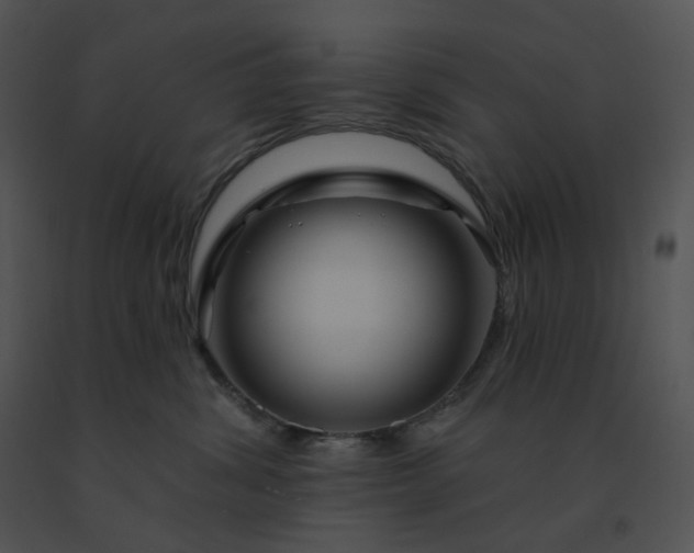 X0000091530428200708311315