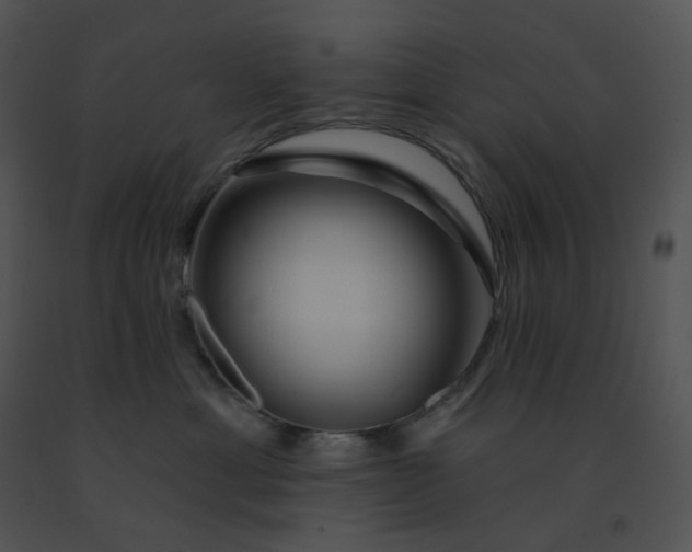 X0000091530429200708311315