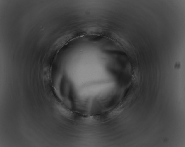 X0000091530430200708311314
