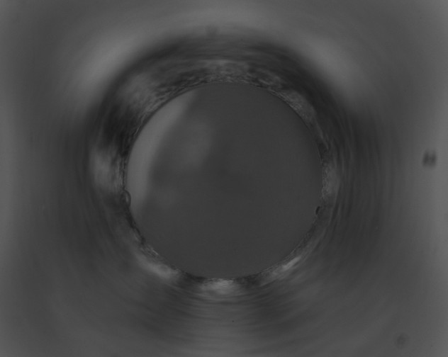 X0000091530431200708311314