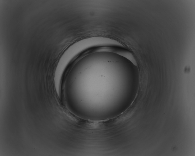 X0000091530432200708311314