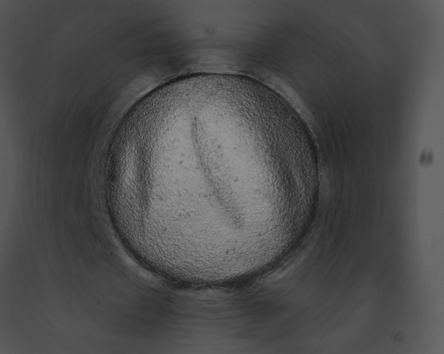X0000091530433200708311314