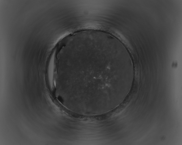 X0000091530434200708311314