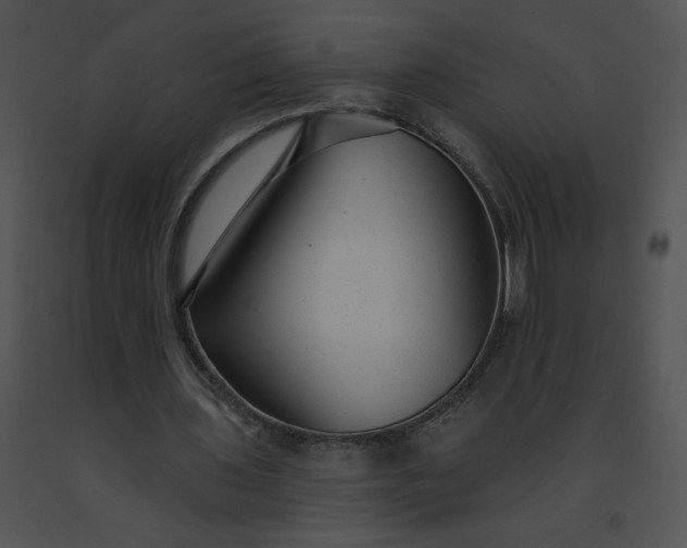 X0000091530435200708311314