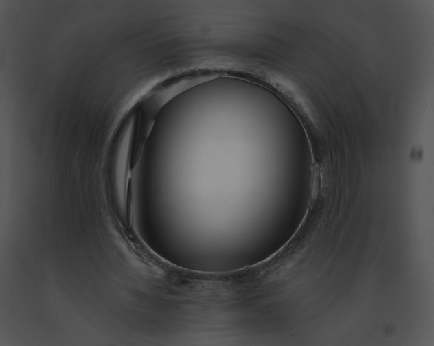 X0000091530436200708311314