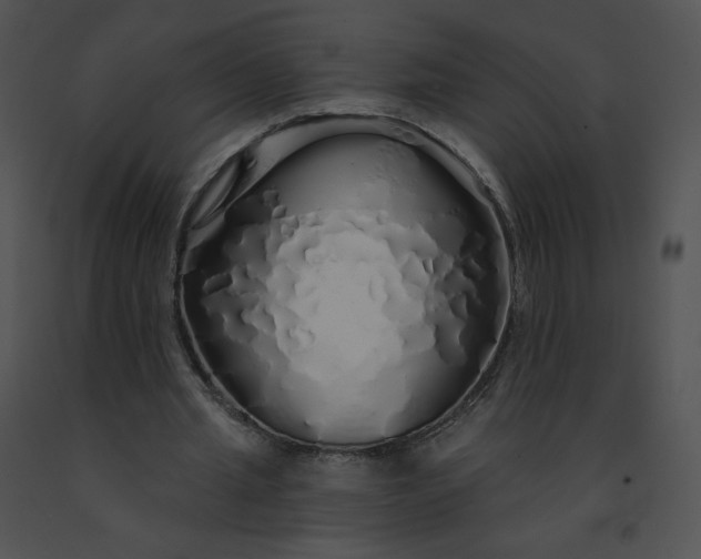 X0000091530437200708311314