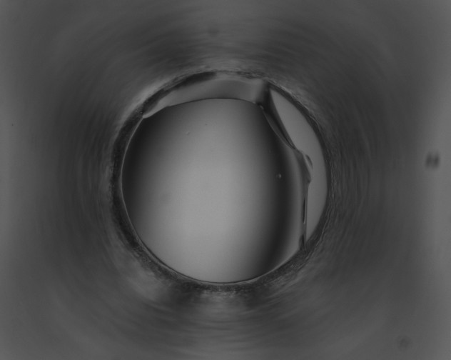 X0000091530440200708311314