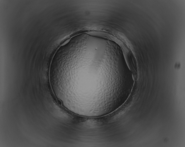 X0000091530441200708311314