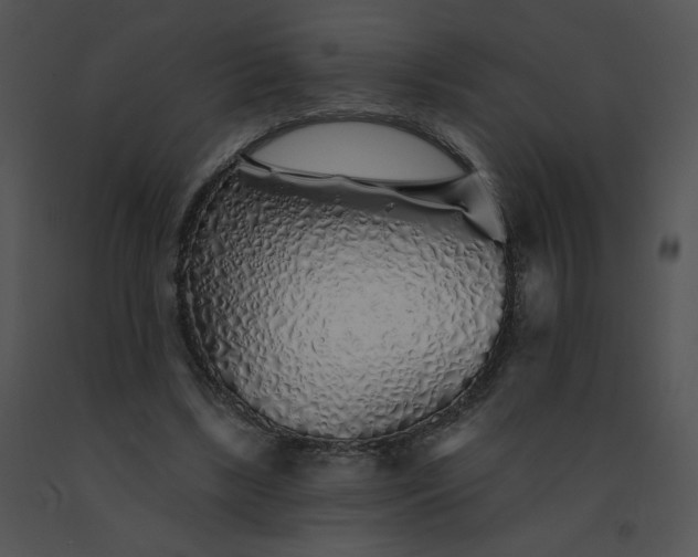 X0000091530443200708311314