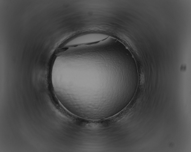 X0000091530444200708311314