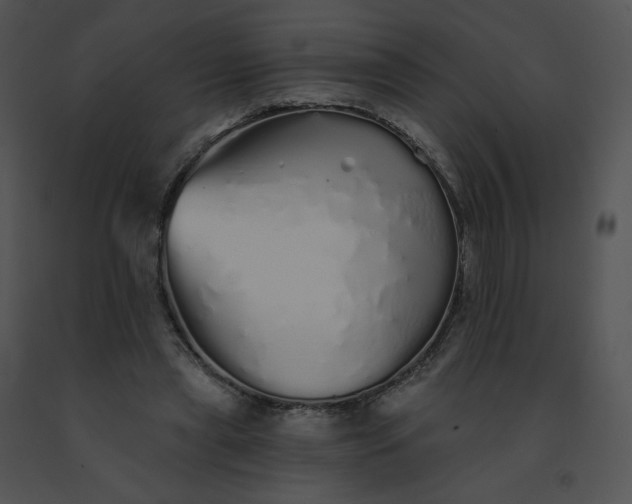 X0000091530445200708311314