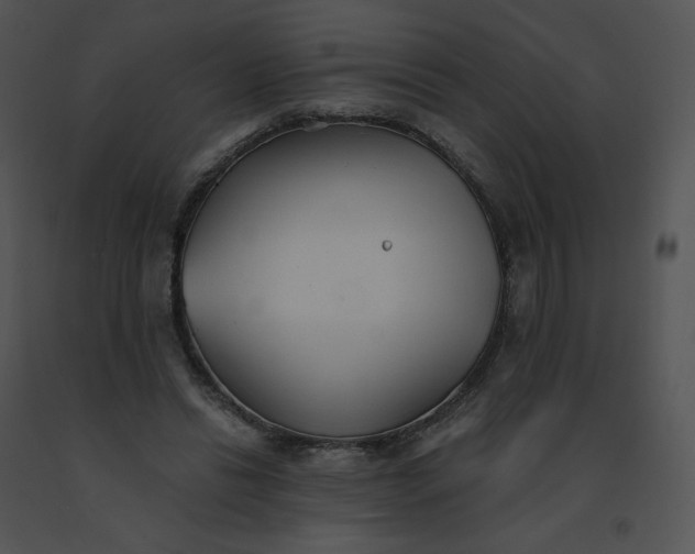 X0000091530446200708311314