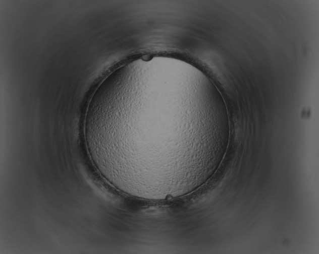 X0000091530447200708311314