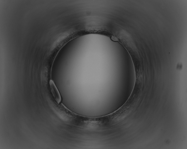 X0000091530448200708311314
