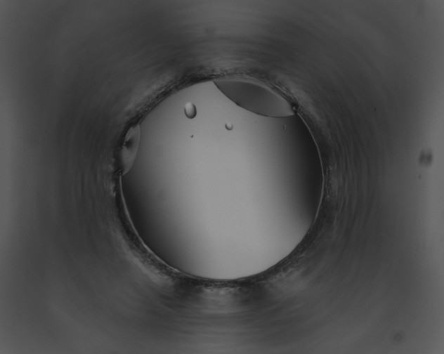X0000091530450200708311314