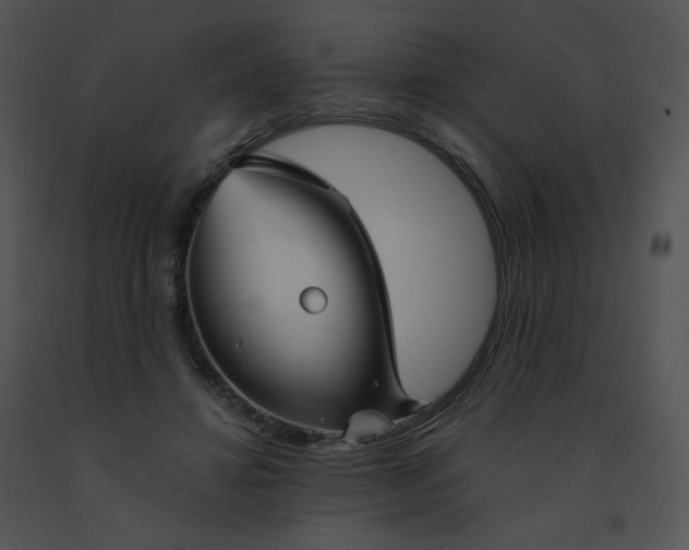 X0000091530452200708311314