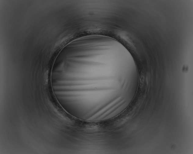 X0000091530454200708311314